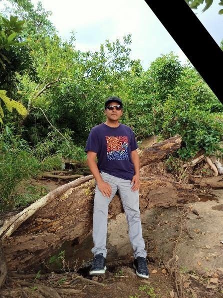 Person wearing sunglasses and a T-shirt standing on a fallen tree in a lush, green forest.